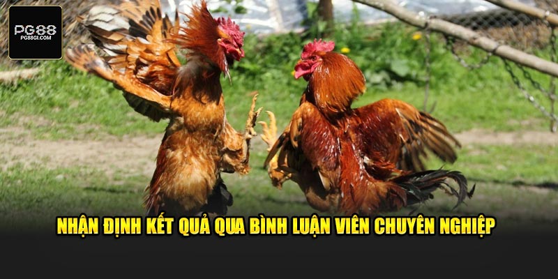 Nhận định kết quả qua bình luận viên chuyên nghiệp 